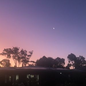 Meet your Posher, Eva